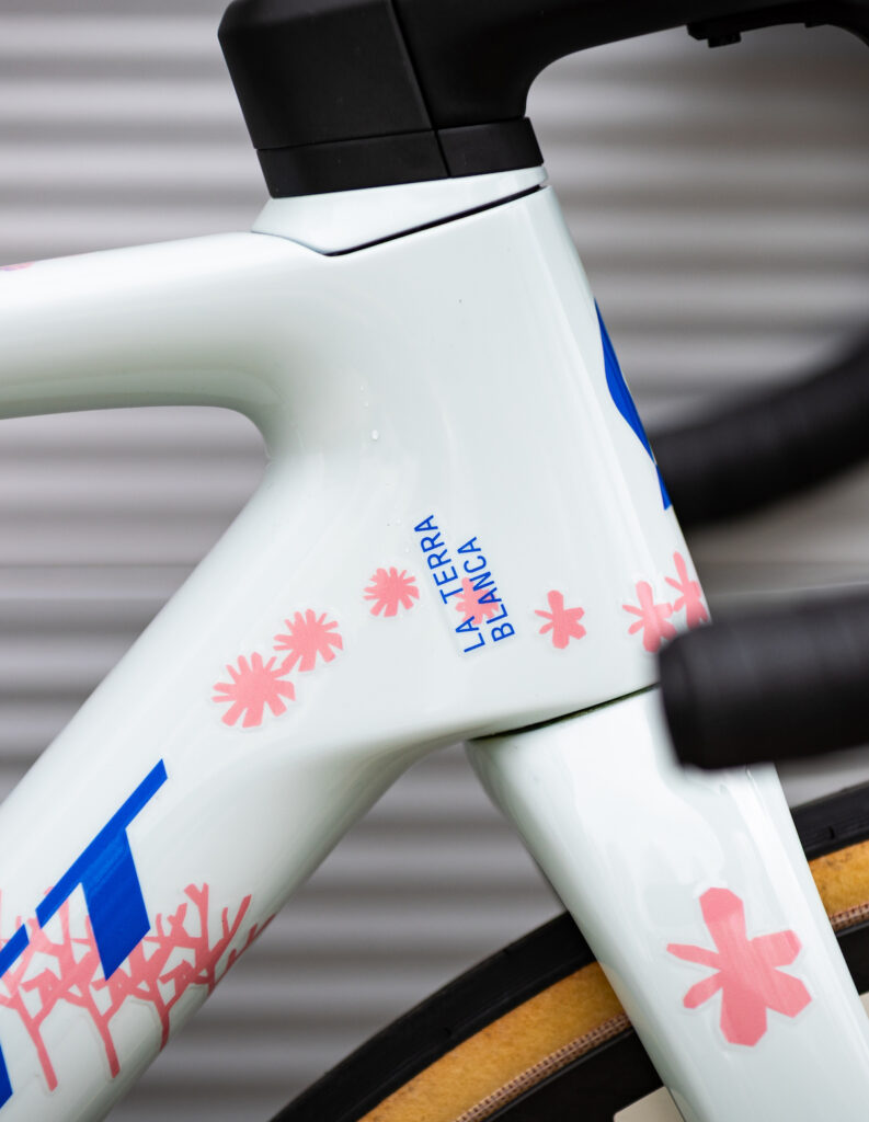 Q365 TP ADDICT RC SPRING CLASSICS SCOTT BIKE PHOTO BY LeonvanBon 114A0210