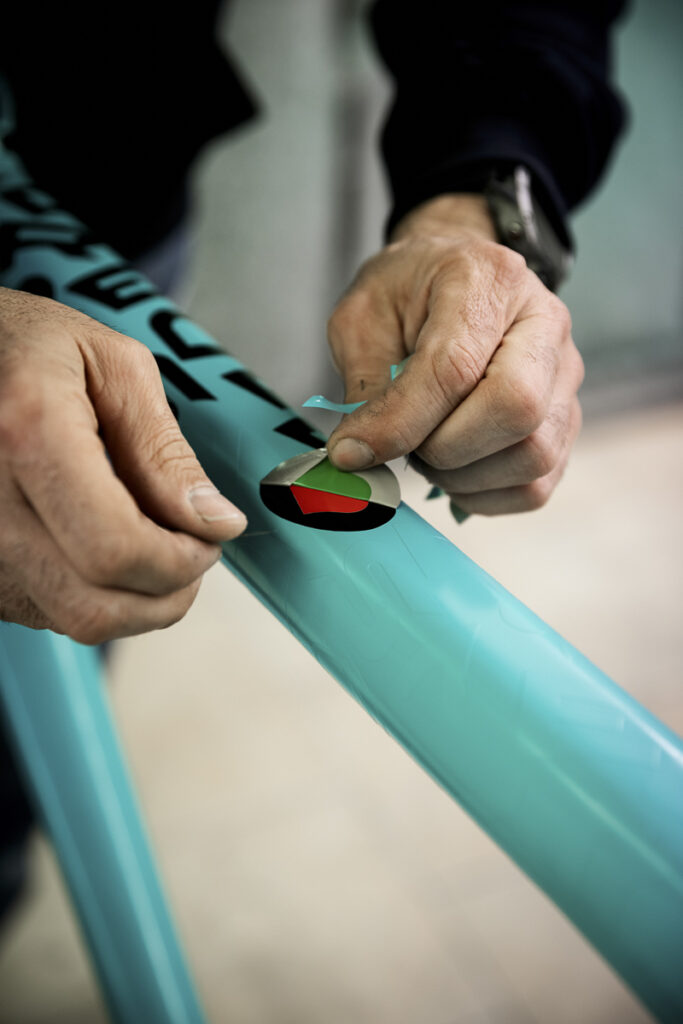 de rosa 15