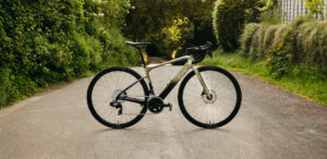 Liv Avail Advanced E+ Elite: motore al mozzo, geometria endurance