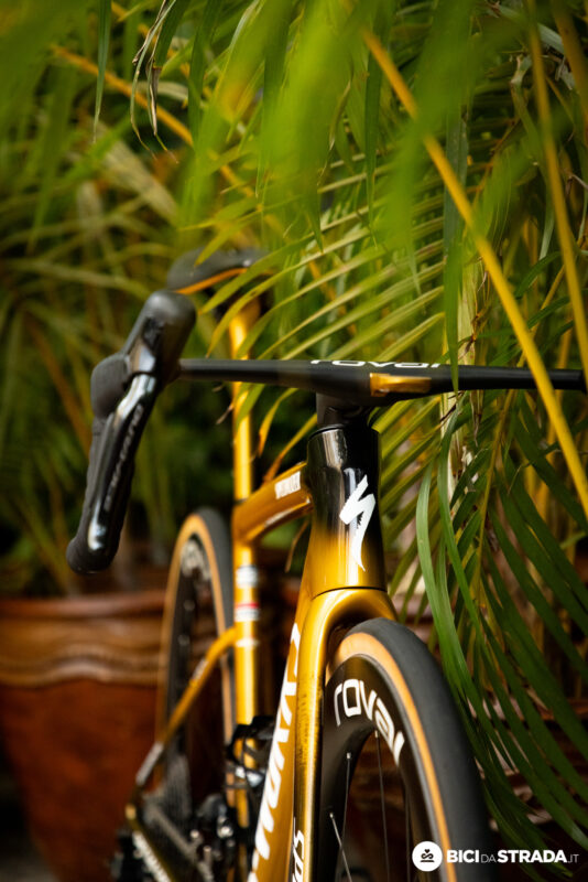 S-Works Tarmac SL8 di Evenepoel