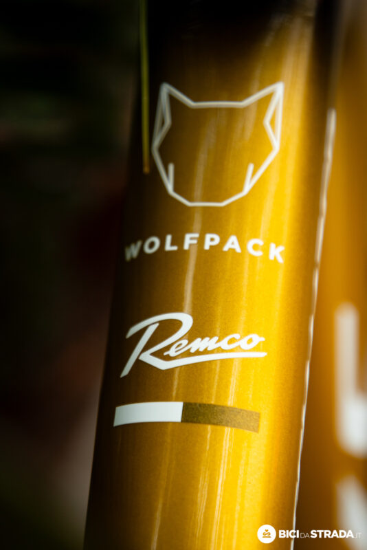 S-Works Tarmac SL8 di Evenepoel