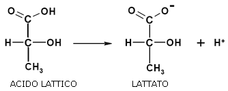 bicarbonato
