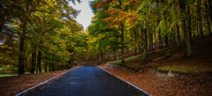 La geografia del cuore: come andare in bici cambia il nostro rapporto con lo spazio 