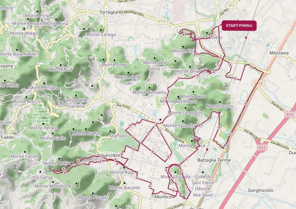 mappa percorso the wild woods gravel race bassa.jpg