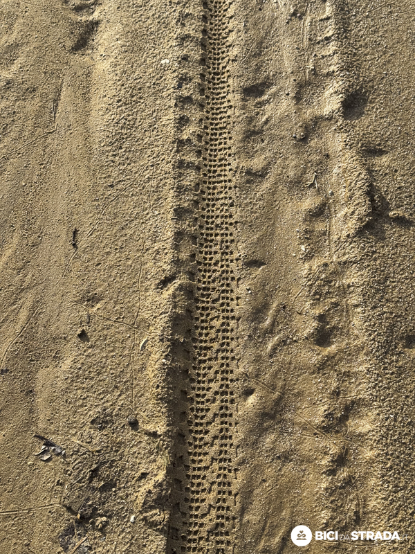 maxxis ravager 26