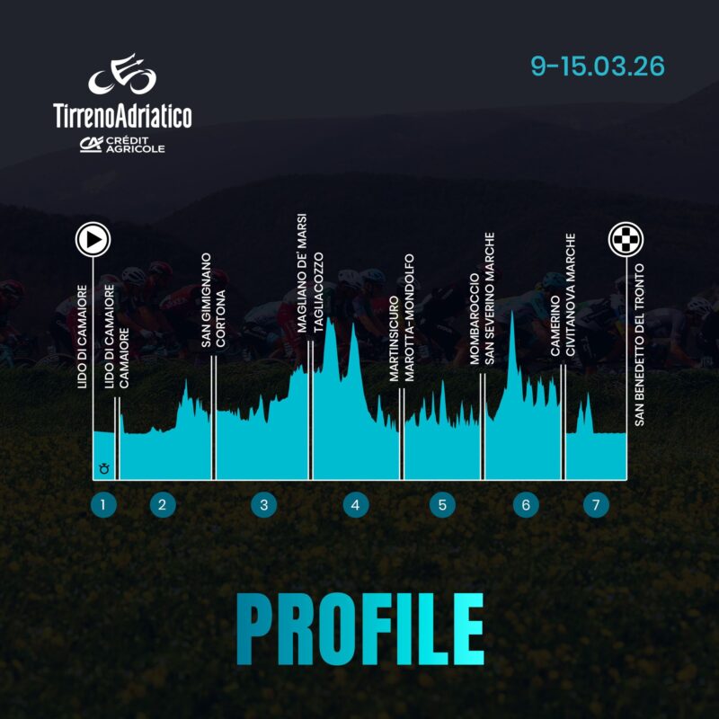 615819859 1318281590341123 1978552883167515609 n