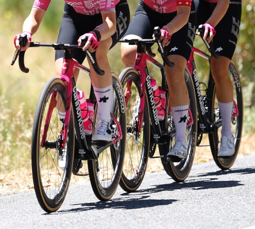 bici World Tour 2026