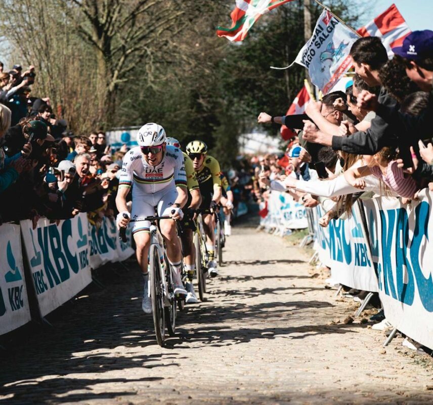 tour of flanders as a vip
