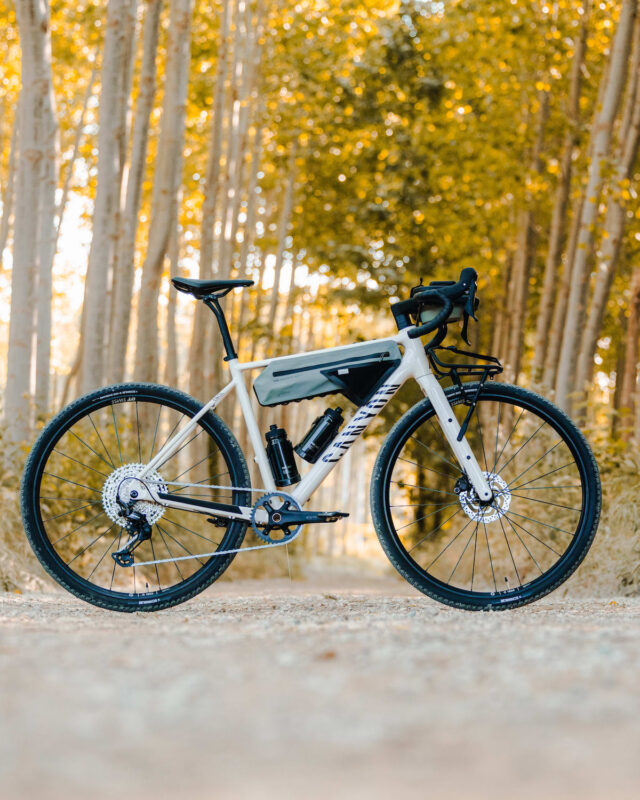 Canyon Grizl AL