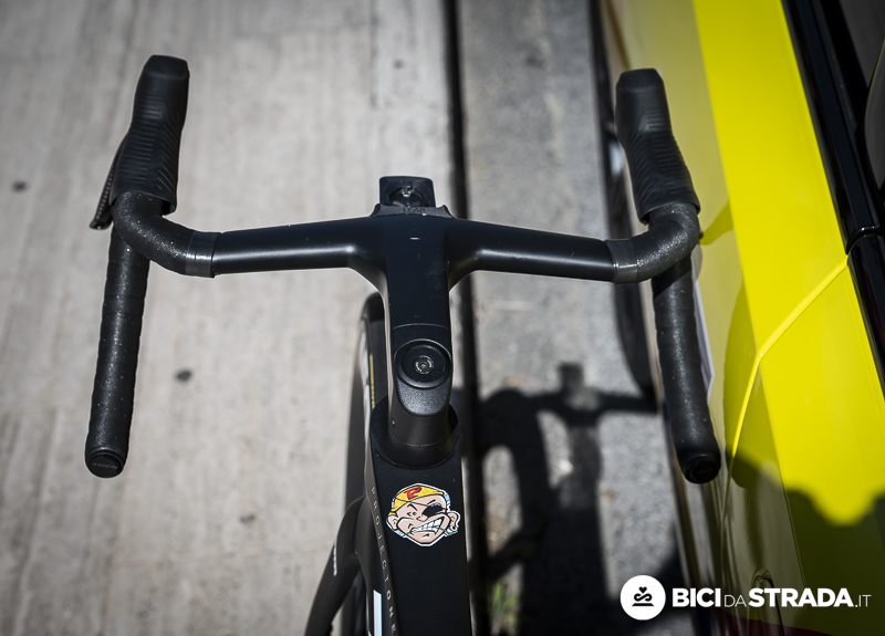 TREK CICCONE 17