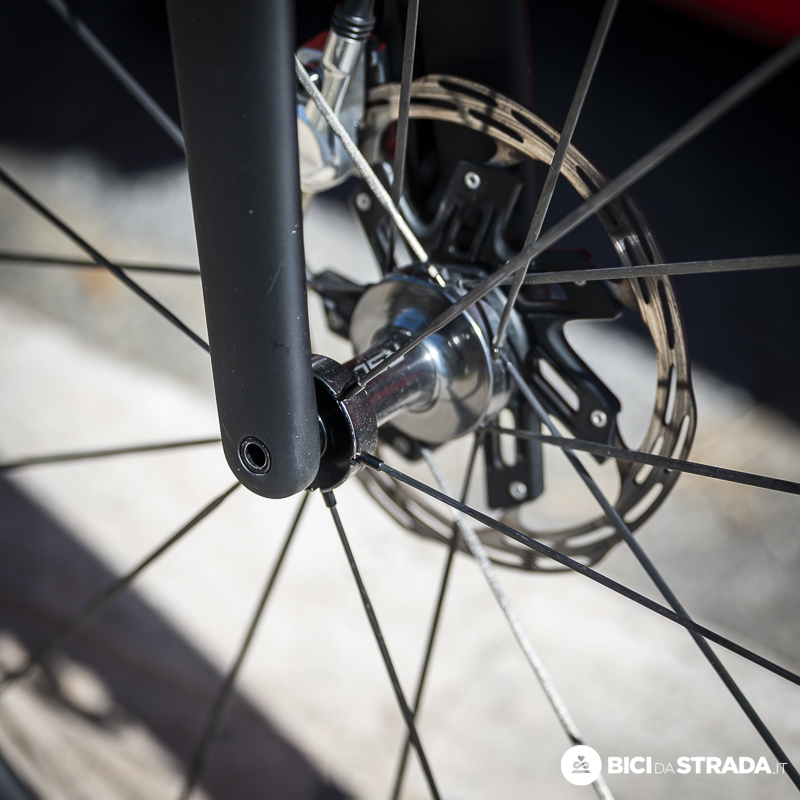 TREK CICCONE 2