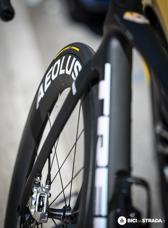TREK CICCONE 23