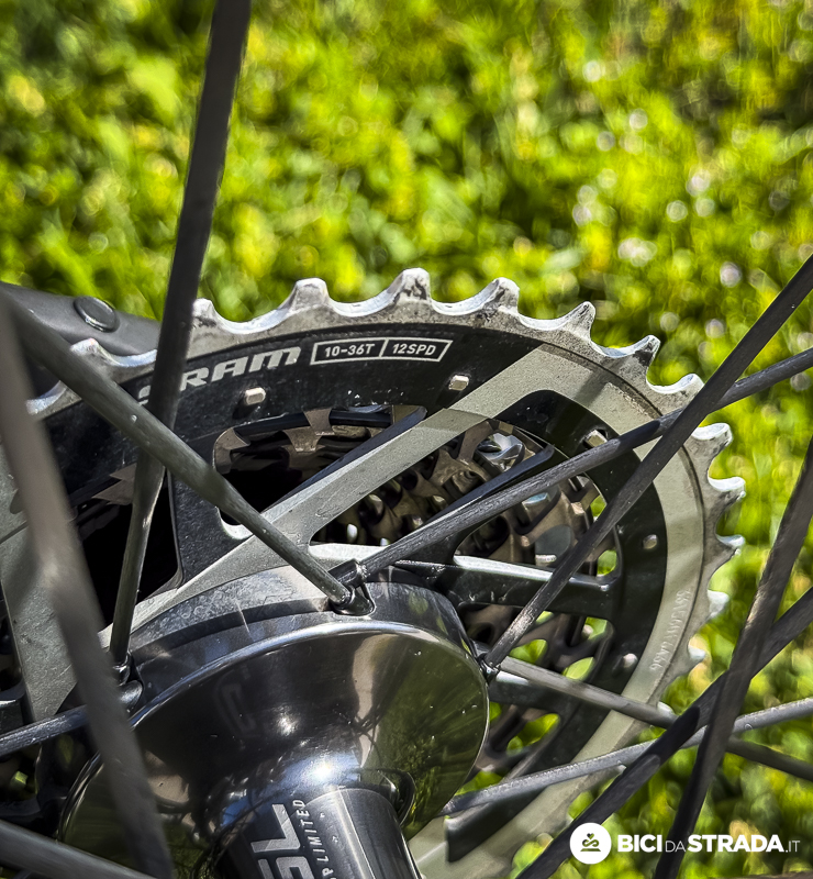 TREK CICCONE 26