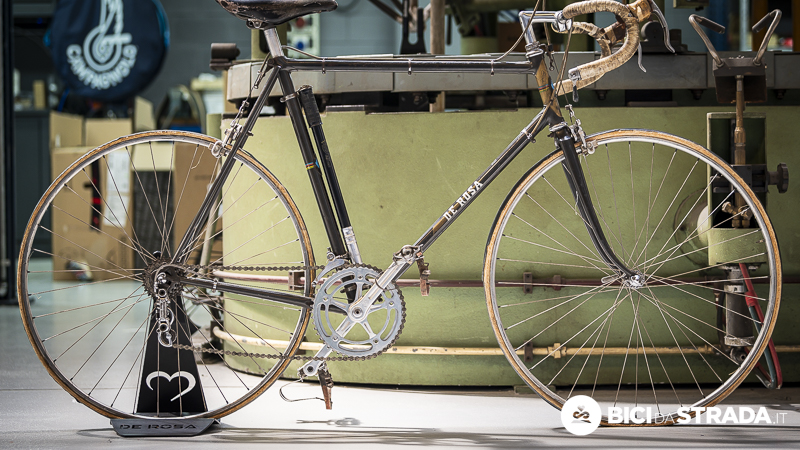 de rosa 1