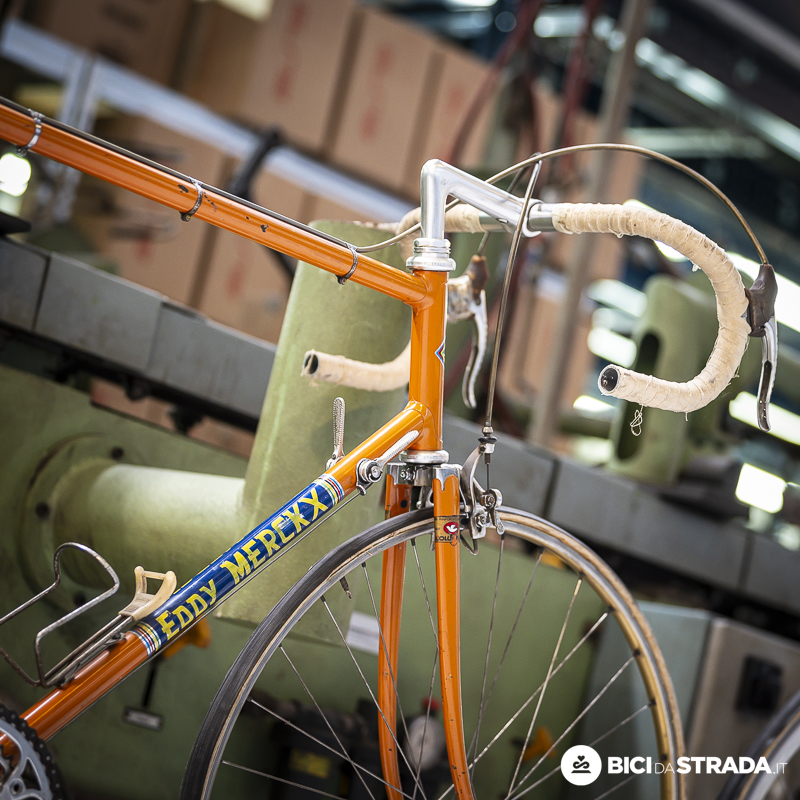 de rosa 5