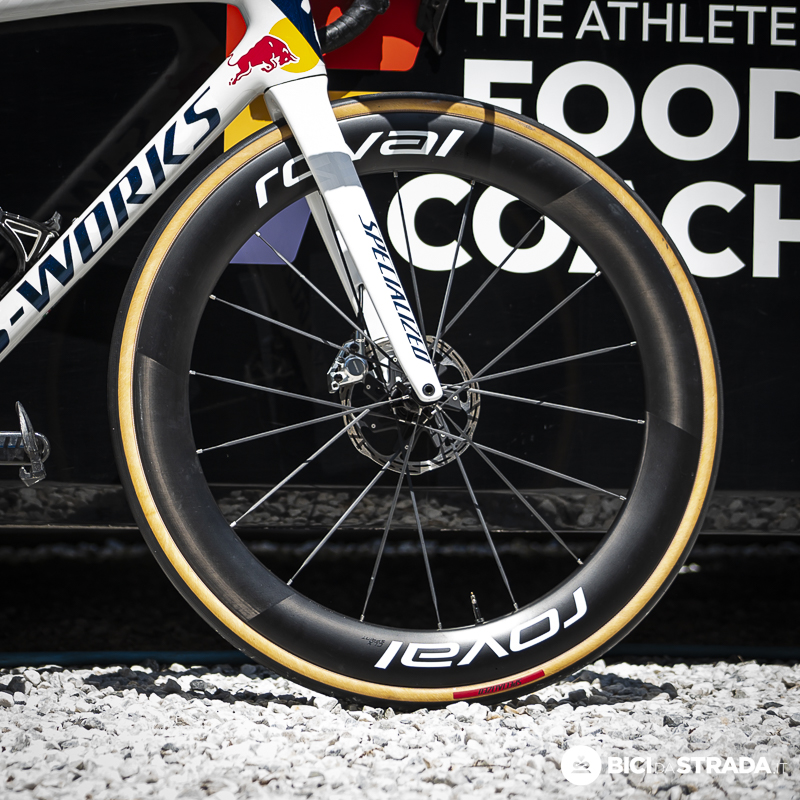 specialized pellizzari 18