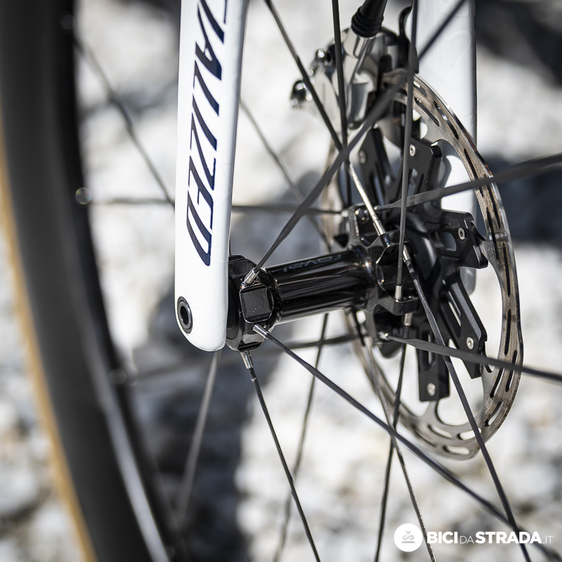 specialized pellizzari