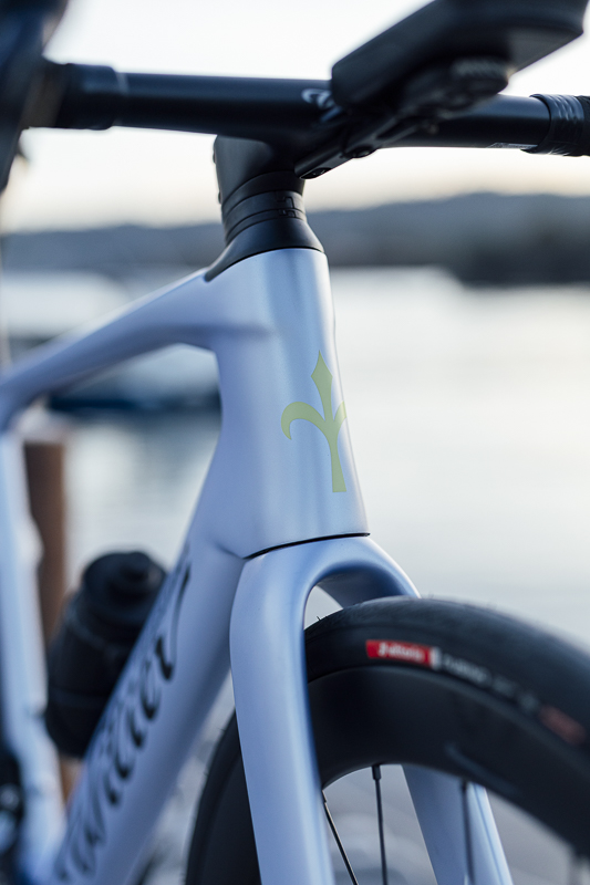 wilier rapida 16