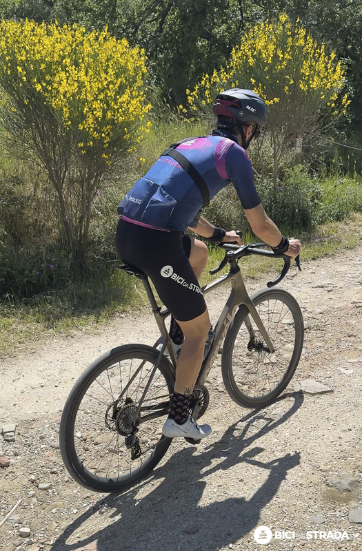 deda 20
