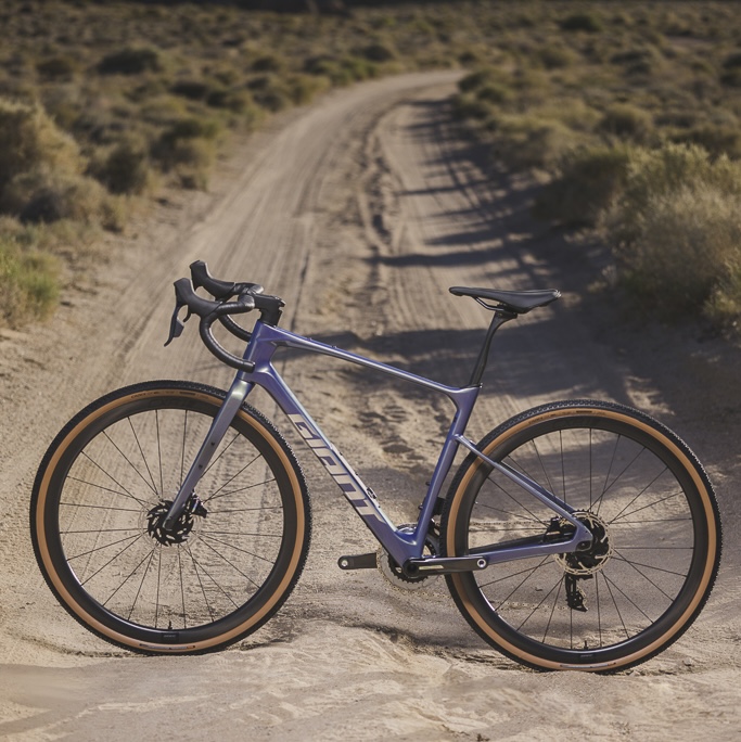 Giant Revolt SL
