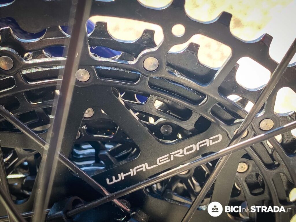 Whaleroad R7 13