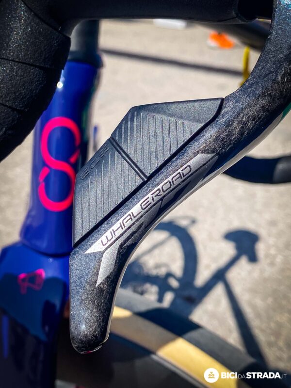 Whaleroad R7 18