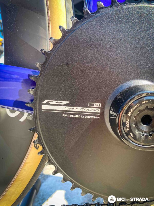 Nuovo Whaleroad R7