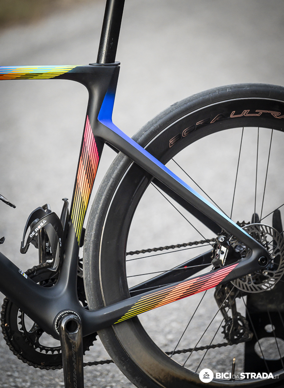 DE ROSA 31