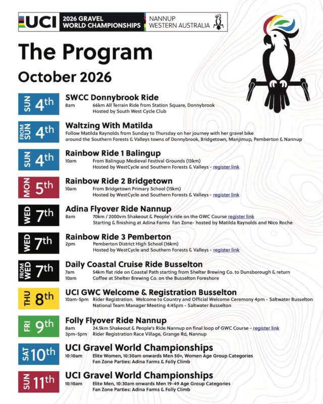 The Program Final pdf