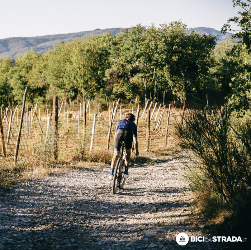 colnago 3